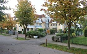 StrandGut